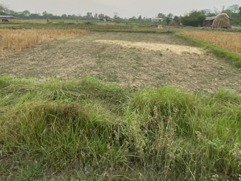 घट्दै छ माटोको उर्वराशक्ति, तराईमा क्षारीय पहाडमा अम्लीयपना बढी